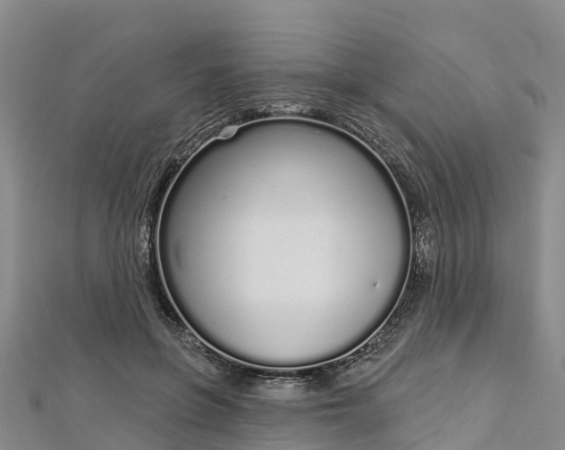 X0000112720551200909031419