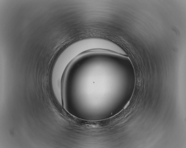 X0000112720552200909031419