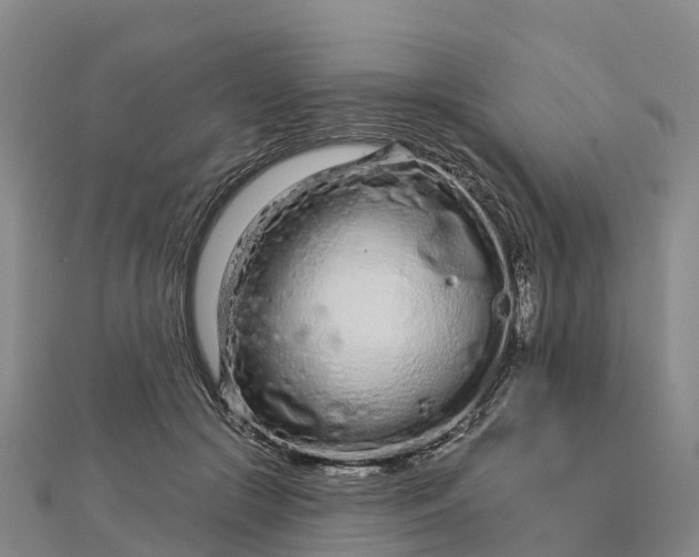 X0000112720553200909031419