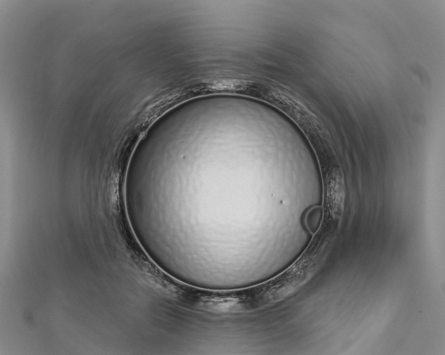 X0000112720554200909031419