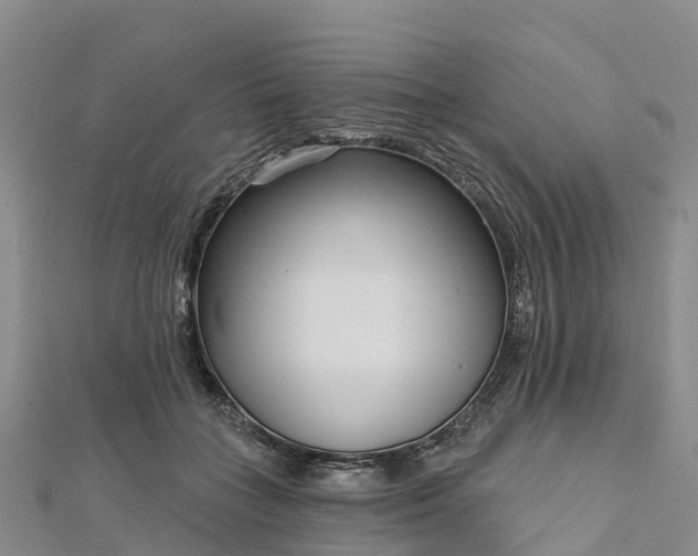 X0000112720555200909031419