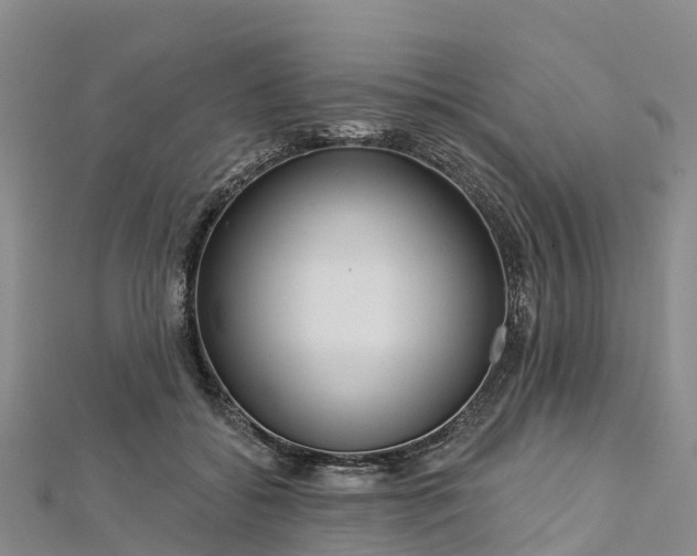 X0000112720556200909031419