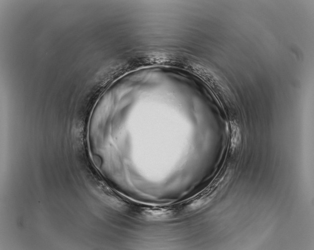 X0000112720557200909031419