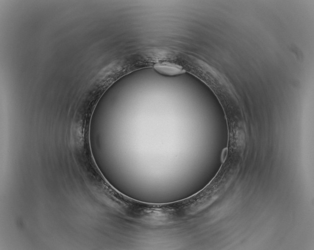 X0000112720558200909031419