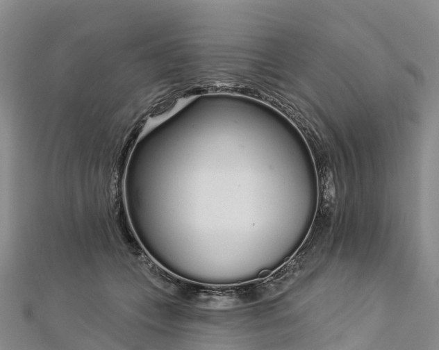 X0000112720559200909031419