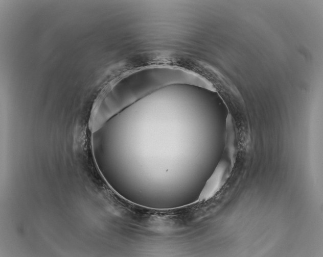 X0000112720560200909031419