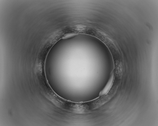 X0000112720562200909031419