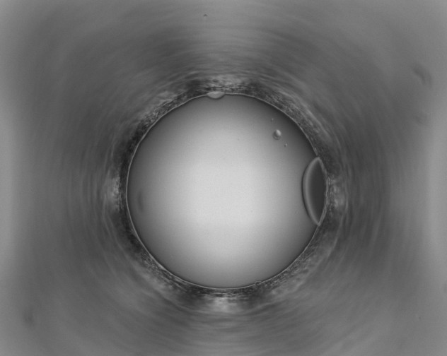 X0000112720564200909031419