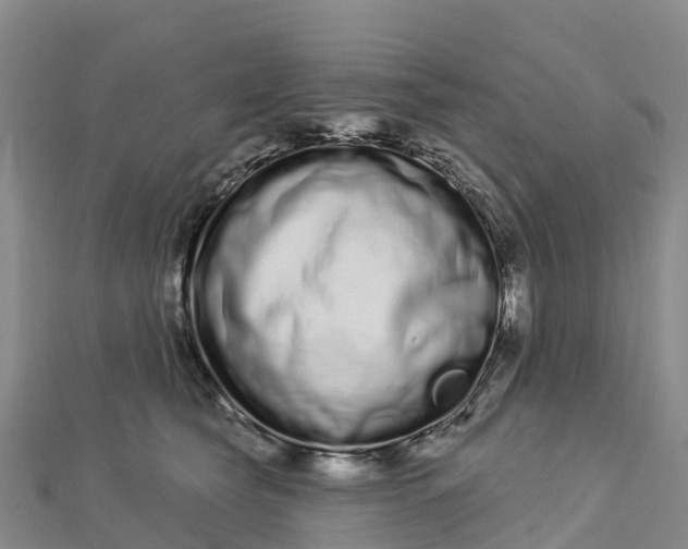 X0000112720565200909031419