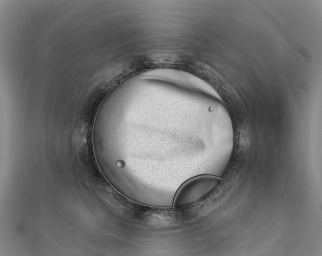 X0000112720567200909031419