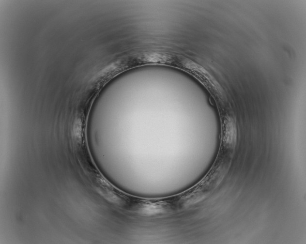 X0000112720569200909031419