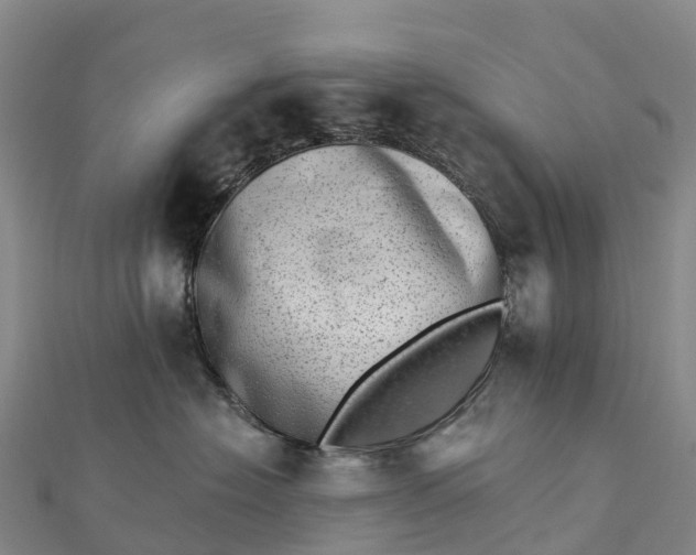 X0000112720574200909031419