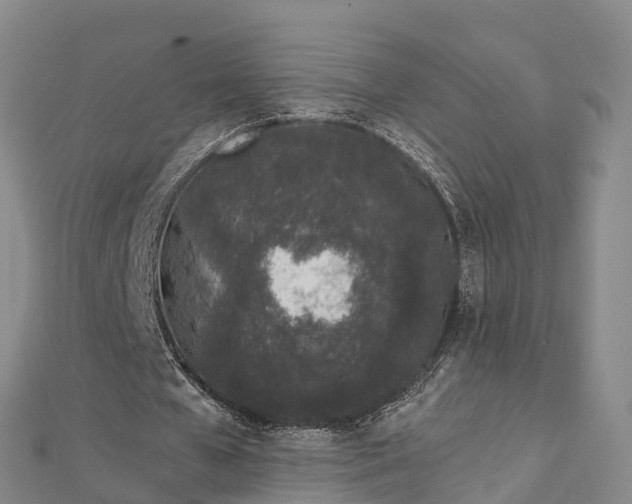 X0000112720577200909031419