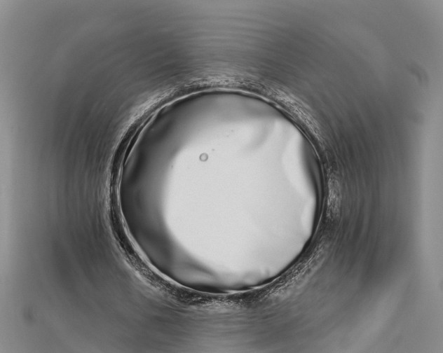 X0000112720578200909031419