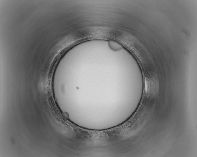 X0000112720579200909031419