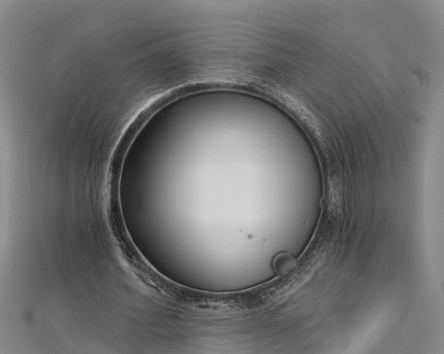 X0000112720580200909031419