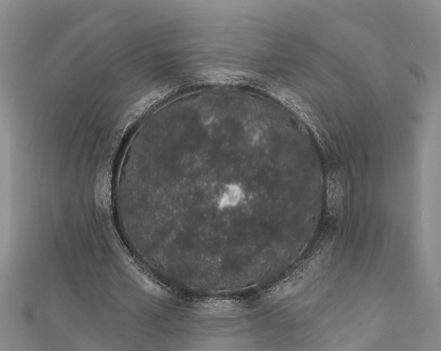 X0000112720581200909031419