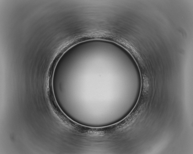 X0000112720582200909031419