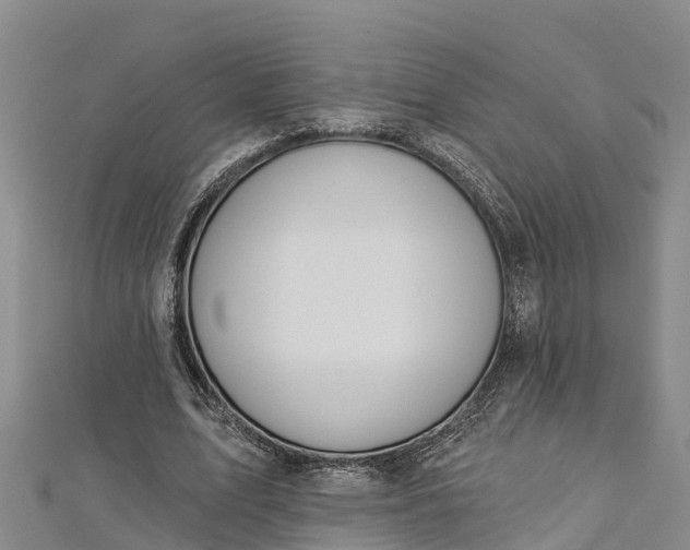 X0000112720583200909031419