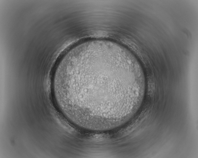 X0000112720584200909031418