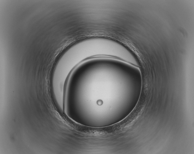 X0000112720585200909031418