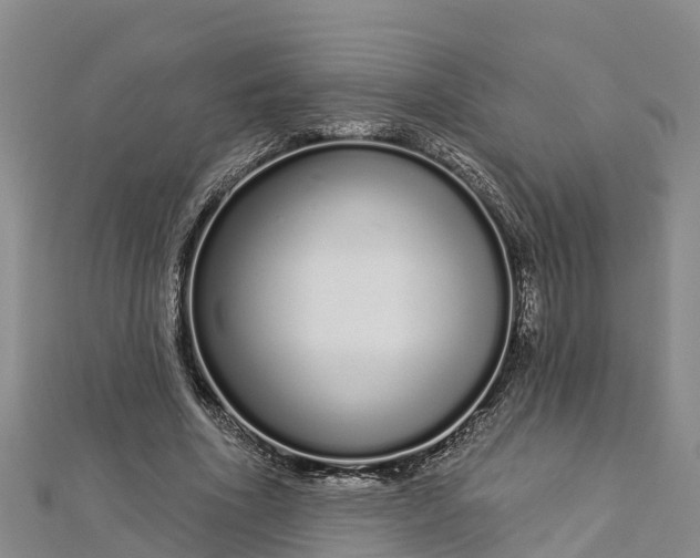 X0000112720586200909031418