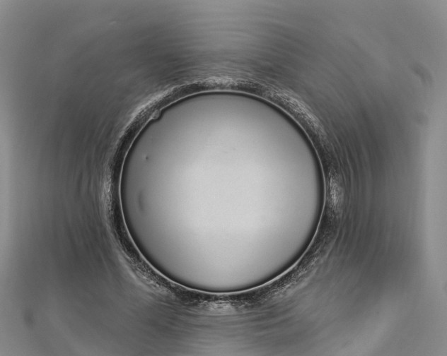 X0000112720588200909031418