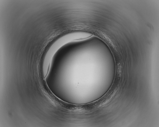 X0000112720589200909031418