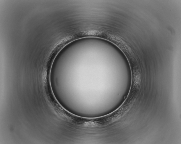 X0000112720591200909031418