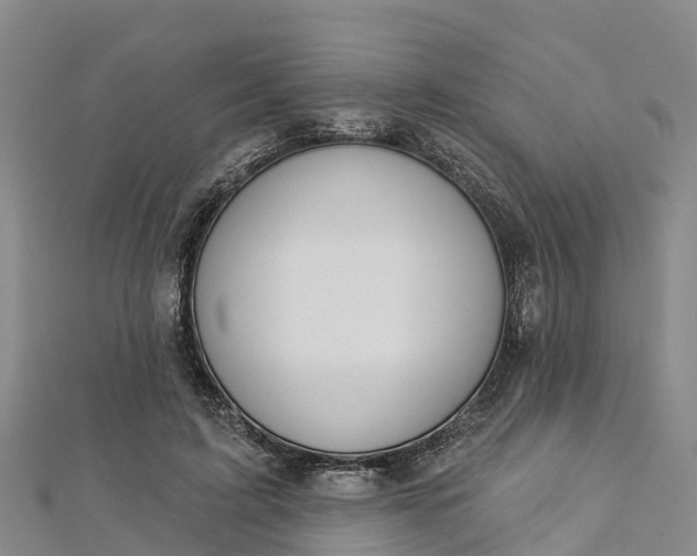 X0000112720595200909031418