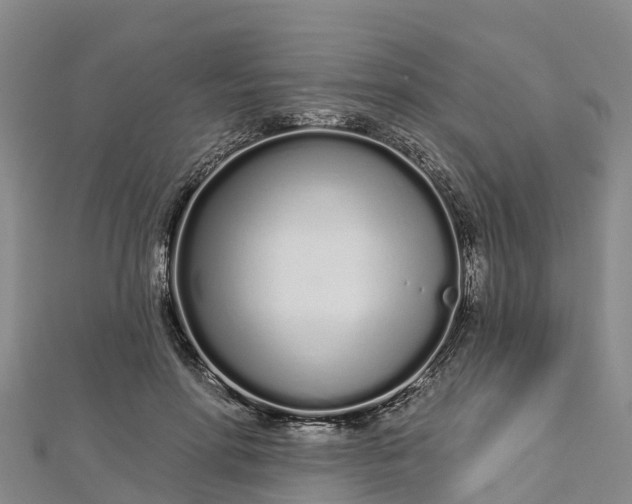 X0000112720598200909031418