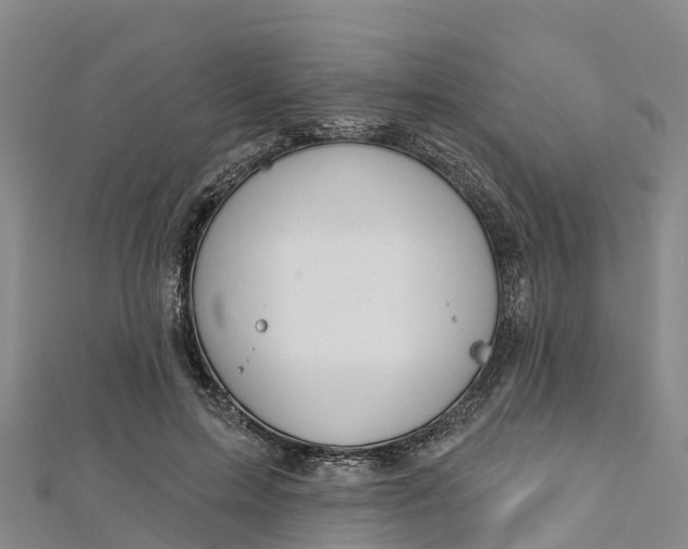 X0000112720599200909031418