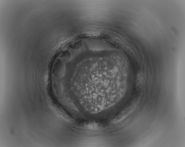 X0000112720600200909031418