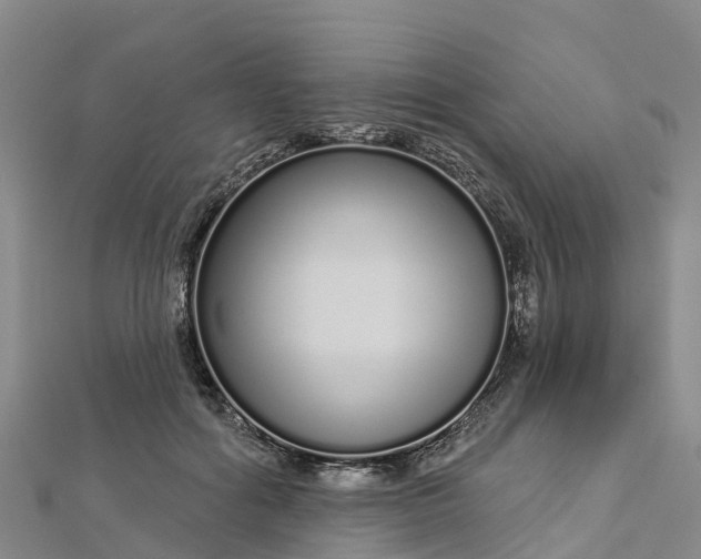 X0000112720602200909031418