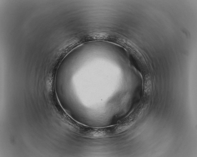 X0000112720604200909031418