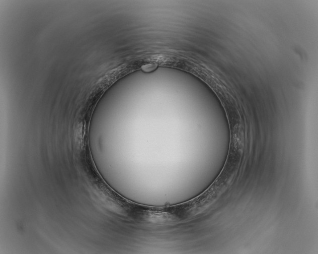 X0000112720605200909031418