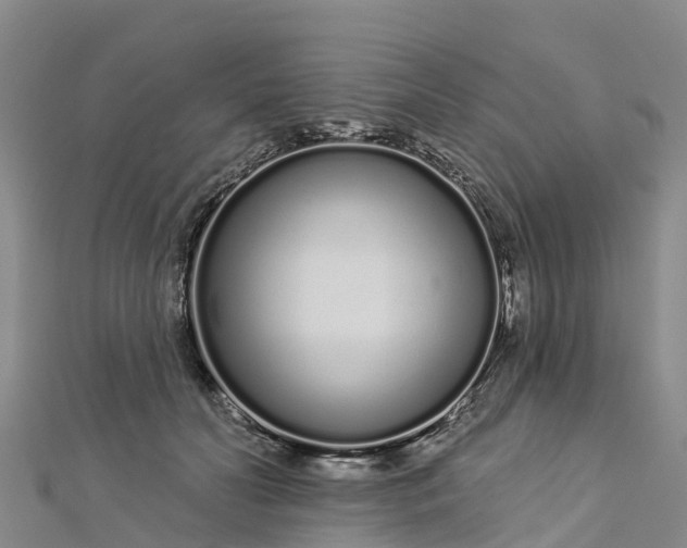 X0000112720606200909031418