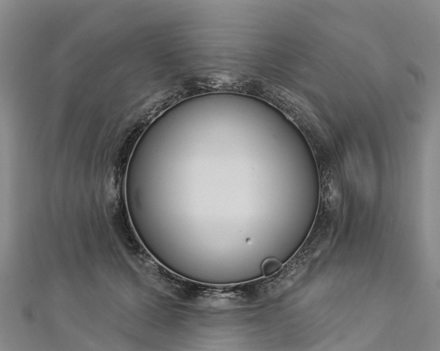 X0000112720607200909031418