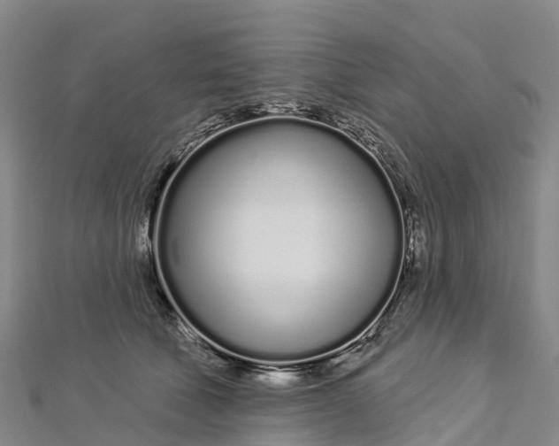 X0000112720610200909031418