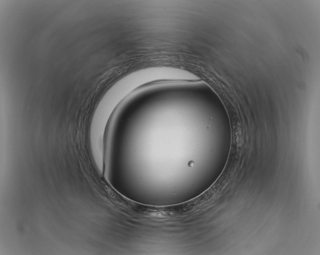 X0000112720611200909031418