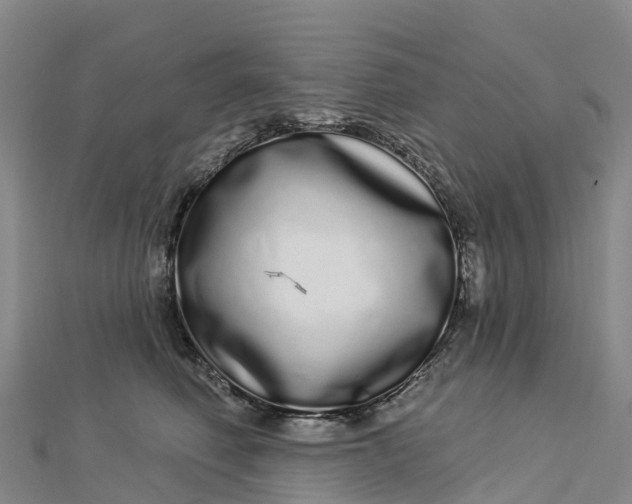 X0000112720614200909031418