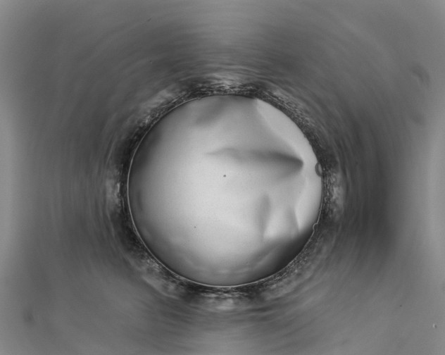 X0000112720615200909031418