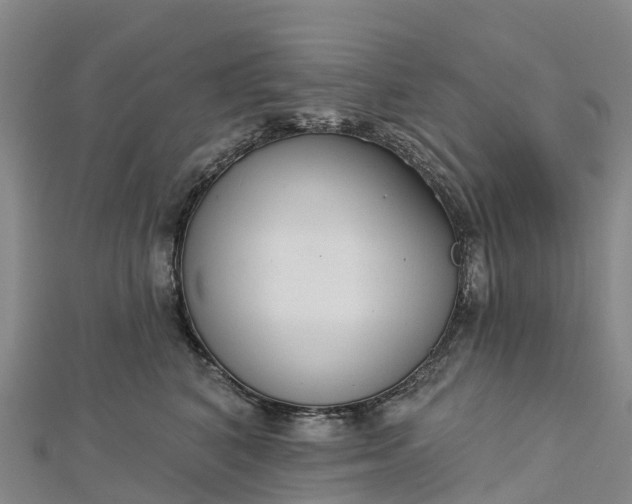 X0000112720616200909031418