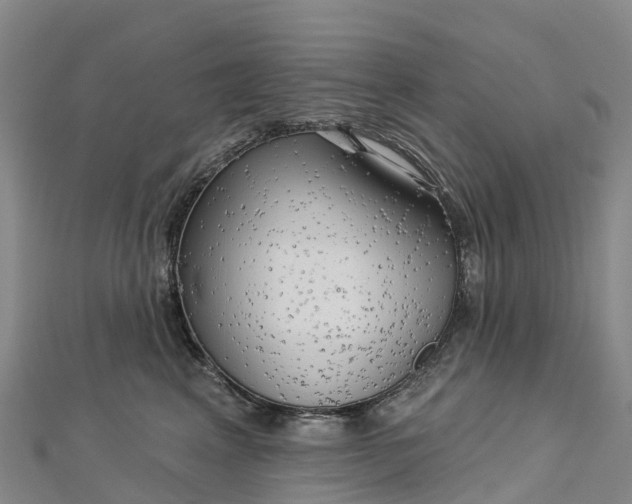 X0000112720617200909031418