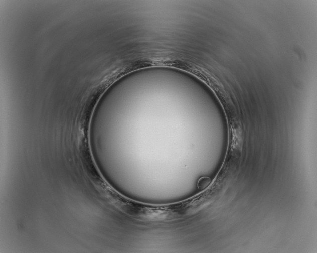 X0000112720618200909031418