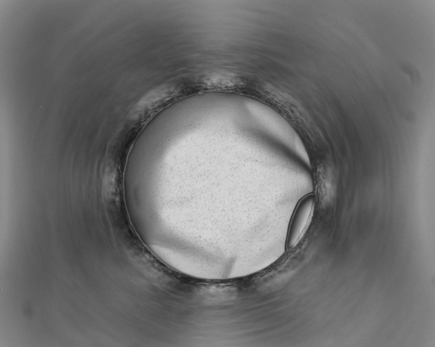 X0000112720619200909031418