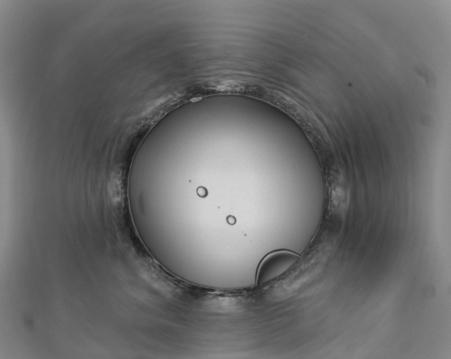 X0000112720620200909031418