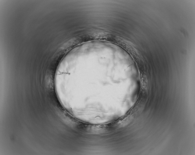 X0000112720622200909031418