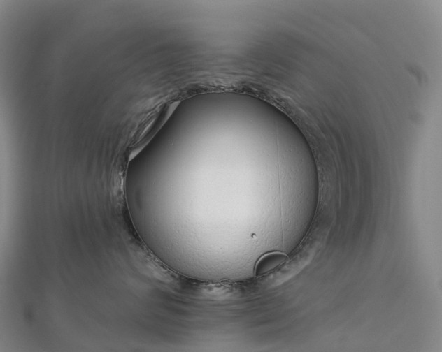 X0000112720624200909031418