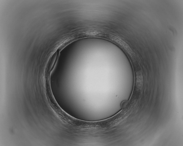 X0000112720626200909031417